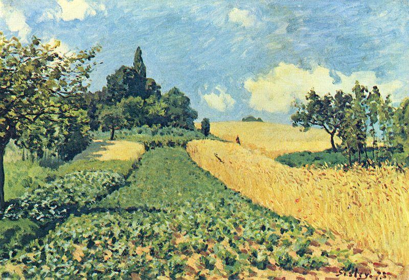 Alfred Sisley Getreidefelder auf den Hugeln von Argenteuil oil painting picture